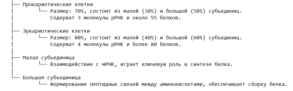 Структура рибосом
