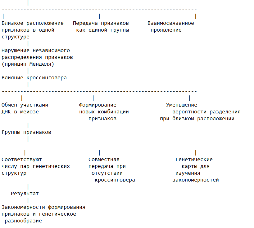 Основные особенности