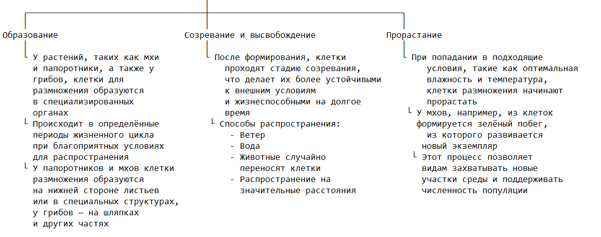 Основные этапы и особенности процесса размножения спор