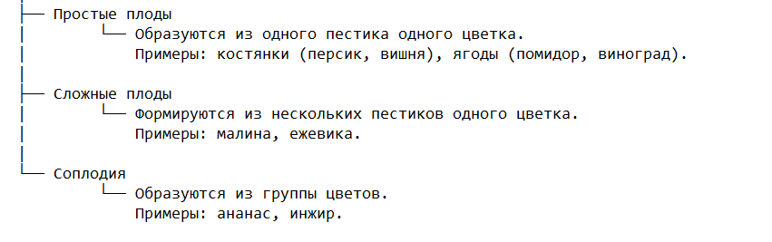 Классификация плодов