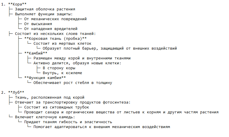 Структура и функции внешних слоев стебля