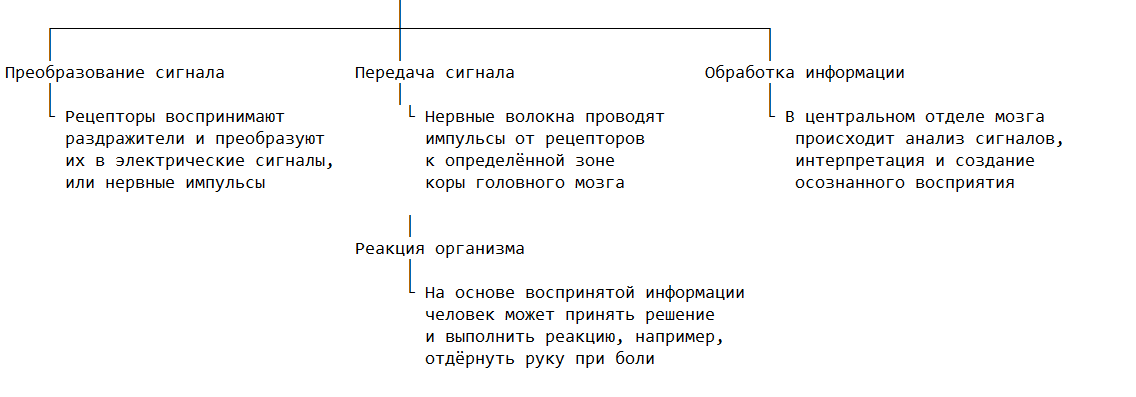 Принципы работы анализатора