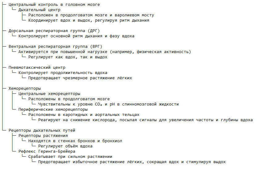 Основные функции дыхания