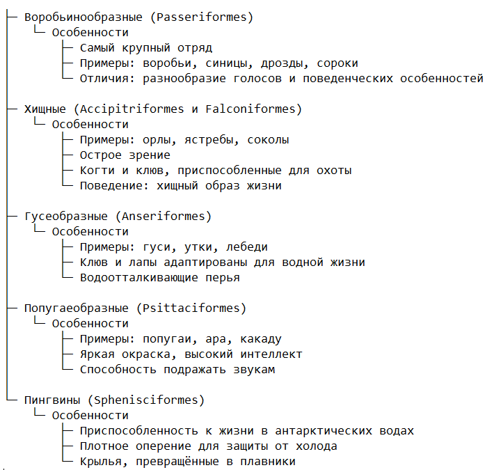 Классификация и основные виды