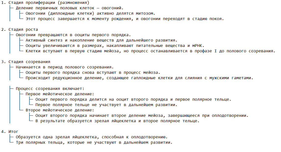 Основные стадии овогенеза