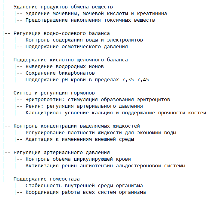 Основные функции мочевыделительной системы
