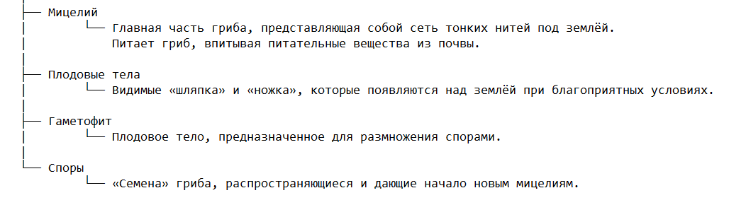 Жизненный цикл шляпочных грибов