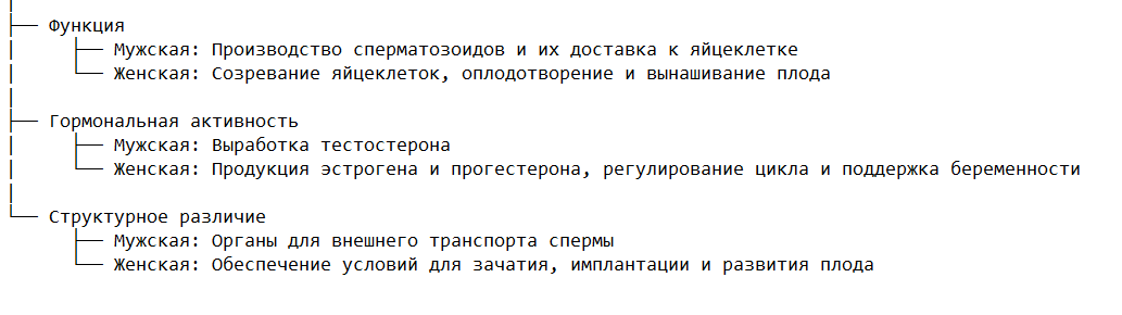 Отличительные особенности мужской и женской систем