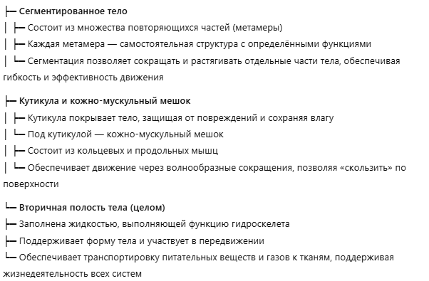 Общая структура тела червяка