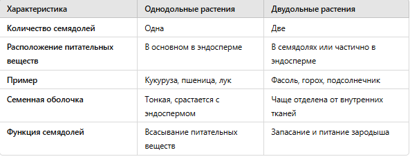 Сравнение строения семян однодольных и двудольных растений