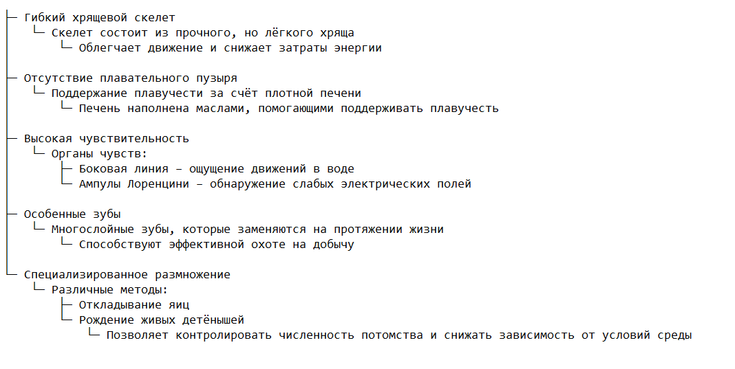 Основные особенности рыб с хрящевым скелетом