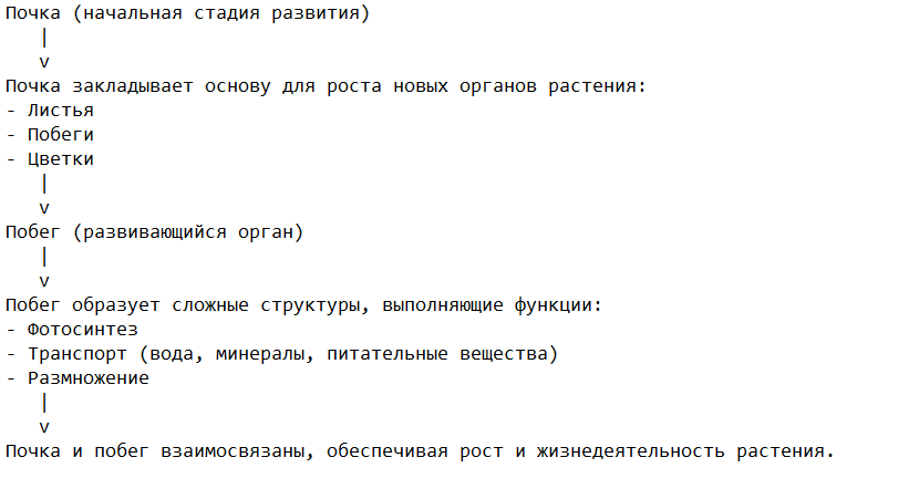 Взаимосвязь побега и почки