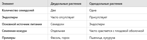 Сравнительная таблица строения